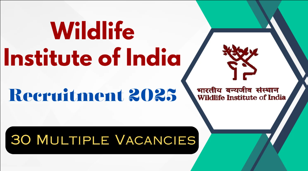 Wildlife Institute of India Recruitment