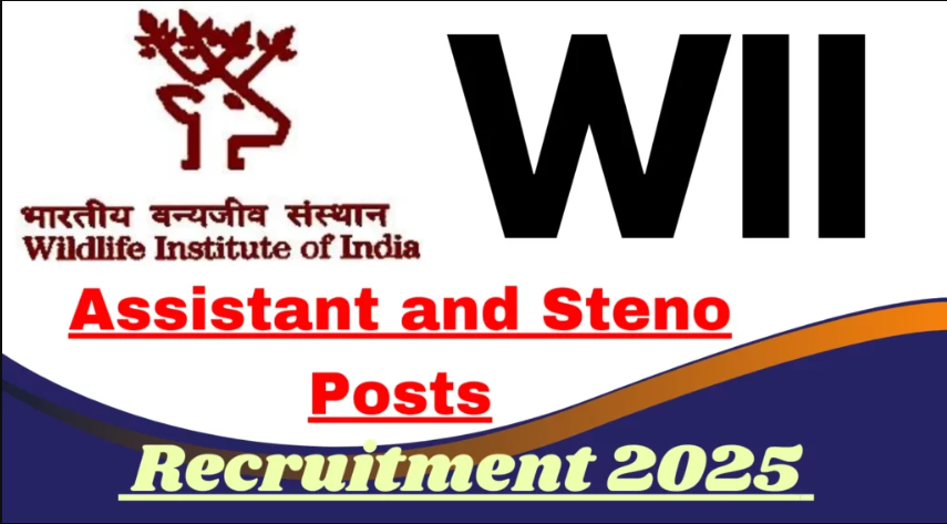 WII Assistant and Steno Recruitment